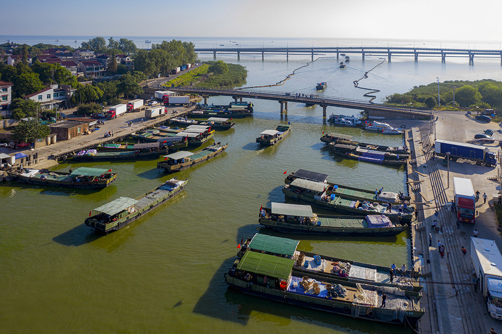 《俯瞰太湖新塘渔业产业链》