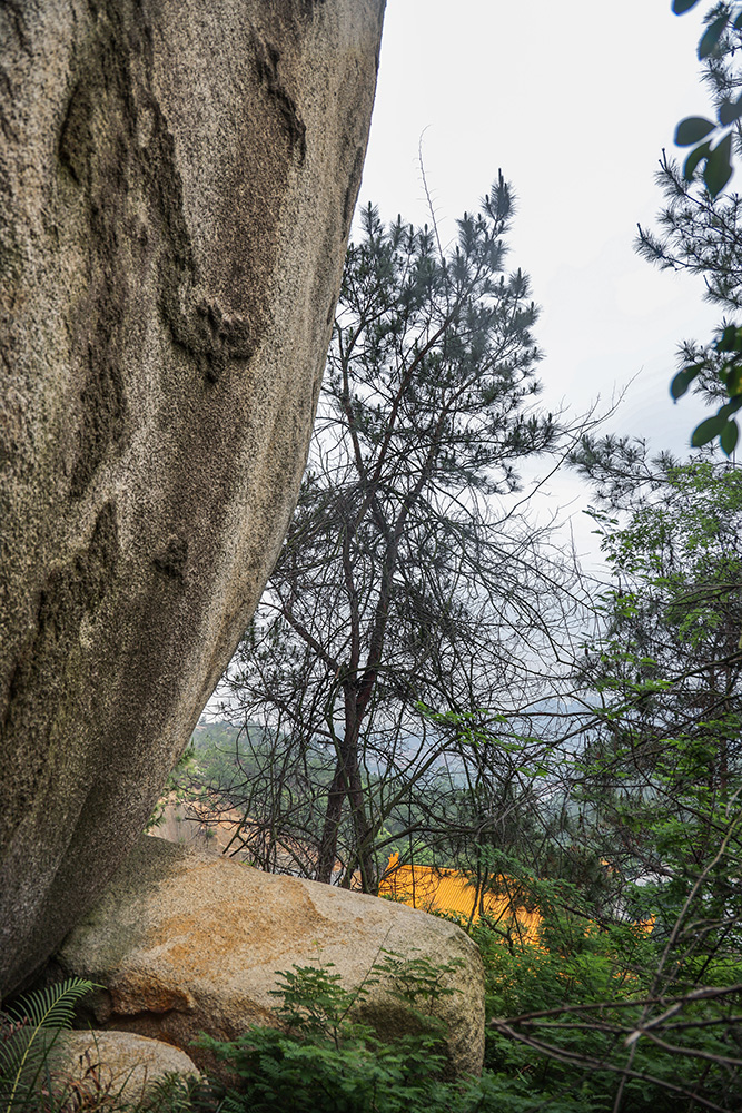 石室岩坐落于南安官桥镇东南部,梅花岭下的观音山坳.