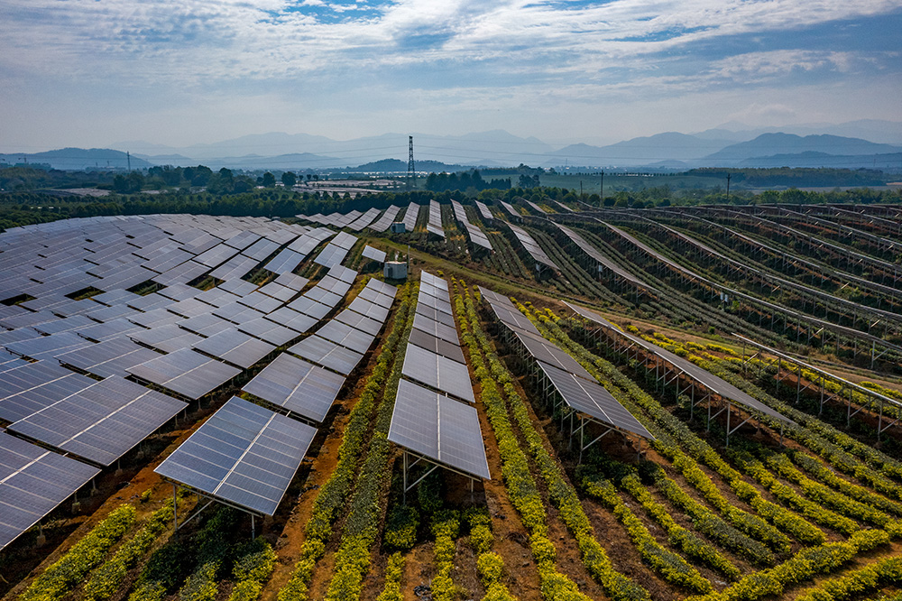 茶园里的光伏-福建省国资系统庆祝建党100周年摄影大展暨 第五届"福能