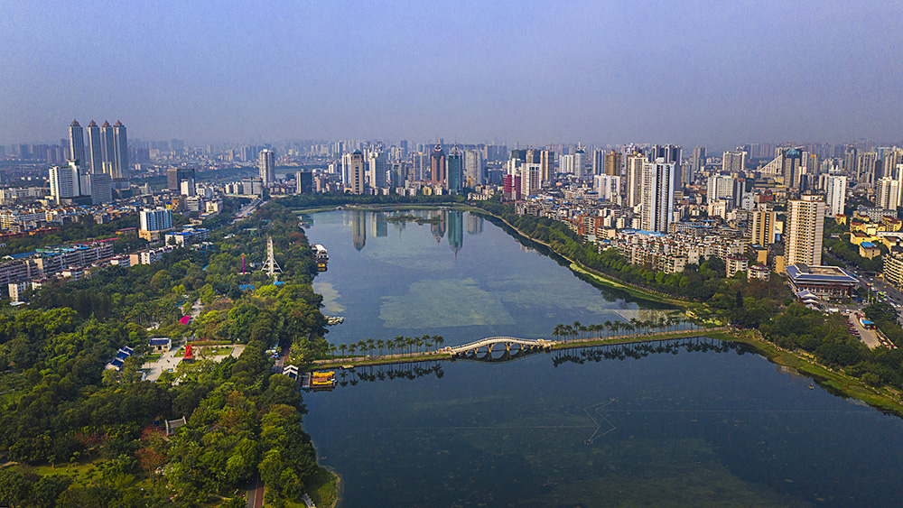 龚凡的投稿作品