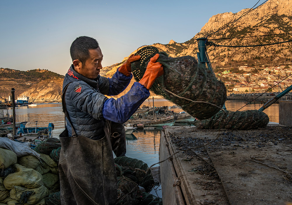 《扇贝养殖》组照-第四届"大美渔村 平安渔业"中国渔业征稿区-大众摄