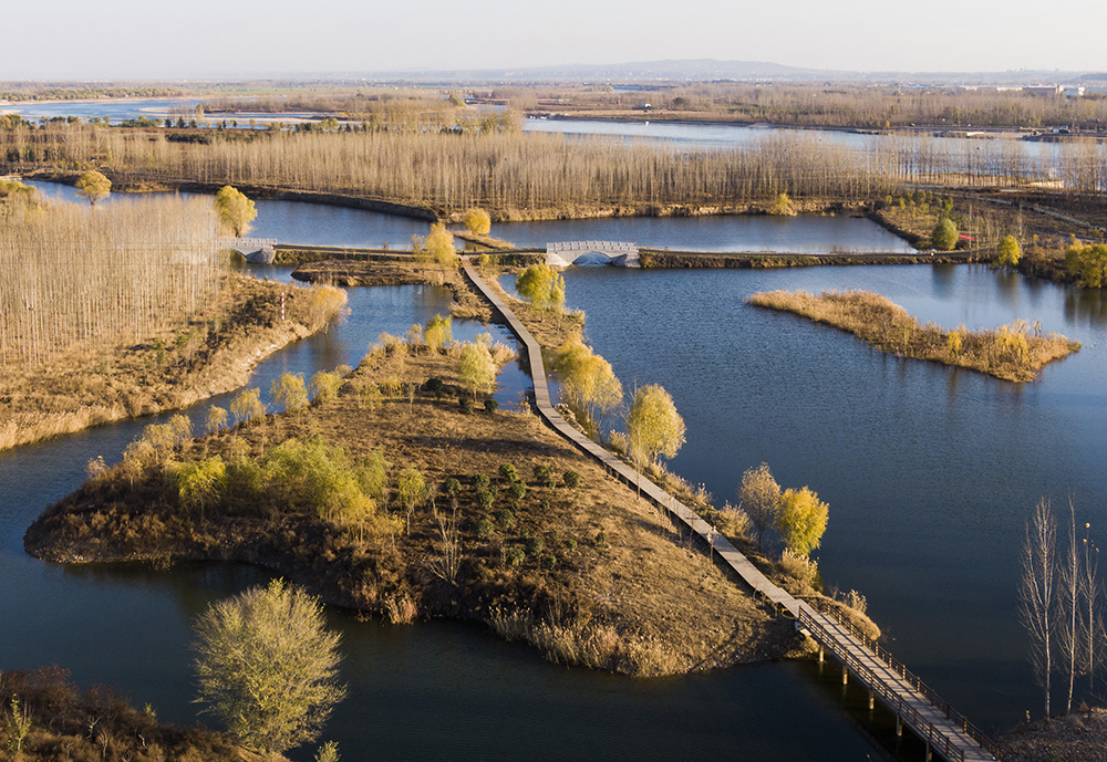  今日的黄河湿地》