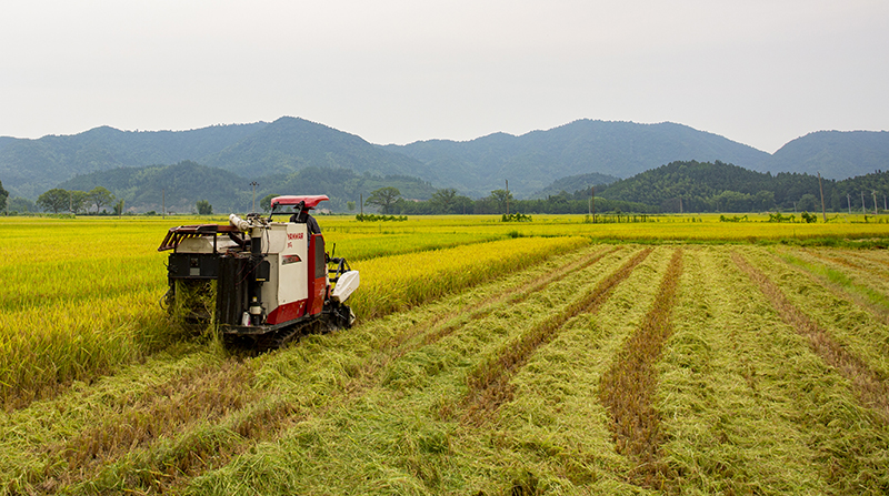 "春播秋收"之中国梦