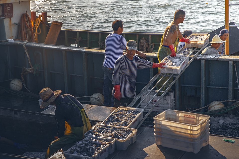 2018年10月5日摄于福建省连江县奇达渔村,渔民们靠海吃海,日出而作