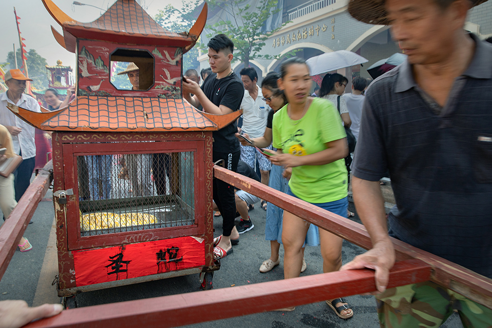 2019年8月7日摄于福建省南平樟湖坂,每年农历七月初七,樟湖坂举办蛇王