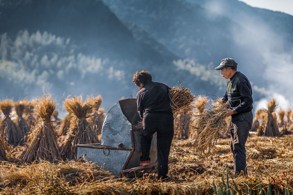 田间劳作 朱诚-第二届高帆杯"行走中国"全国摄影大展 征稿区-大众摄影