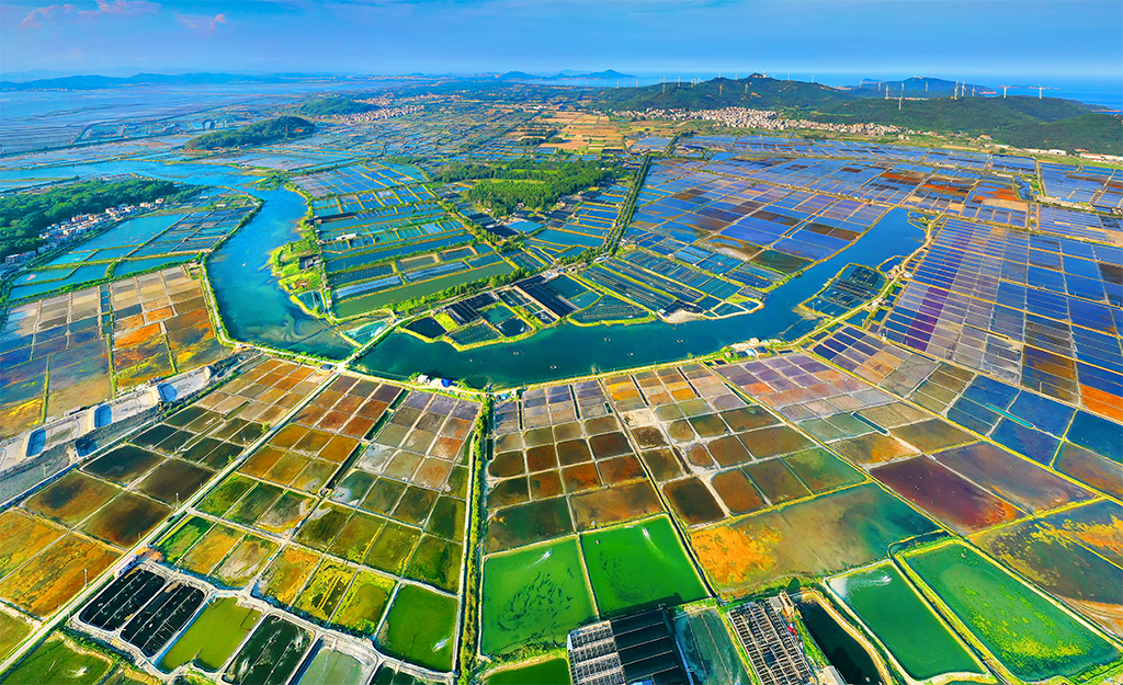 七彩盐田-第四届"大美渔村 平安渔业"中国渔业征稿区-大众摄影网