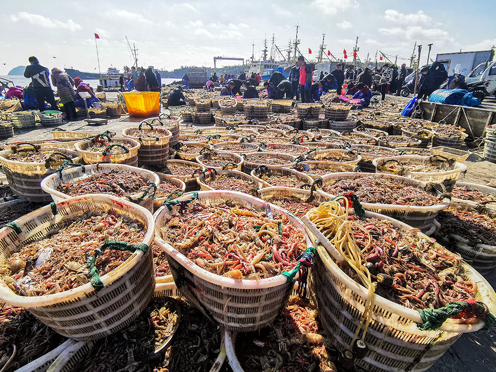 (丰收)-第四届"大美渔村 平安渔业"中国渔业征稿区-大众摄影网