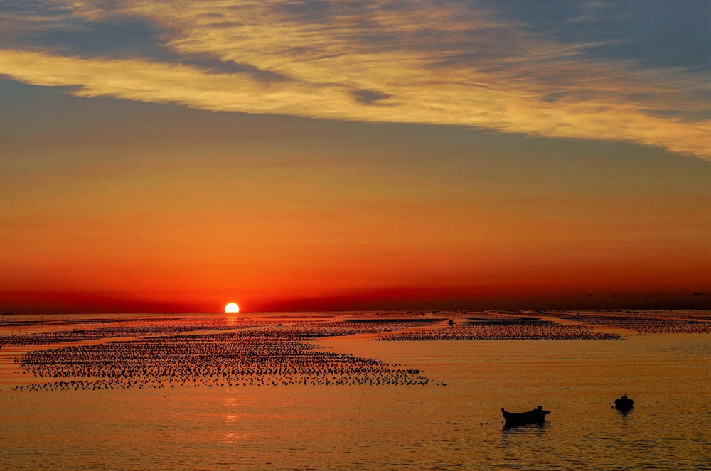旭日东升-第四届"大美渔村 平安渔业"中国渔业征稿区-大众摄影网