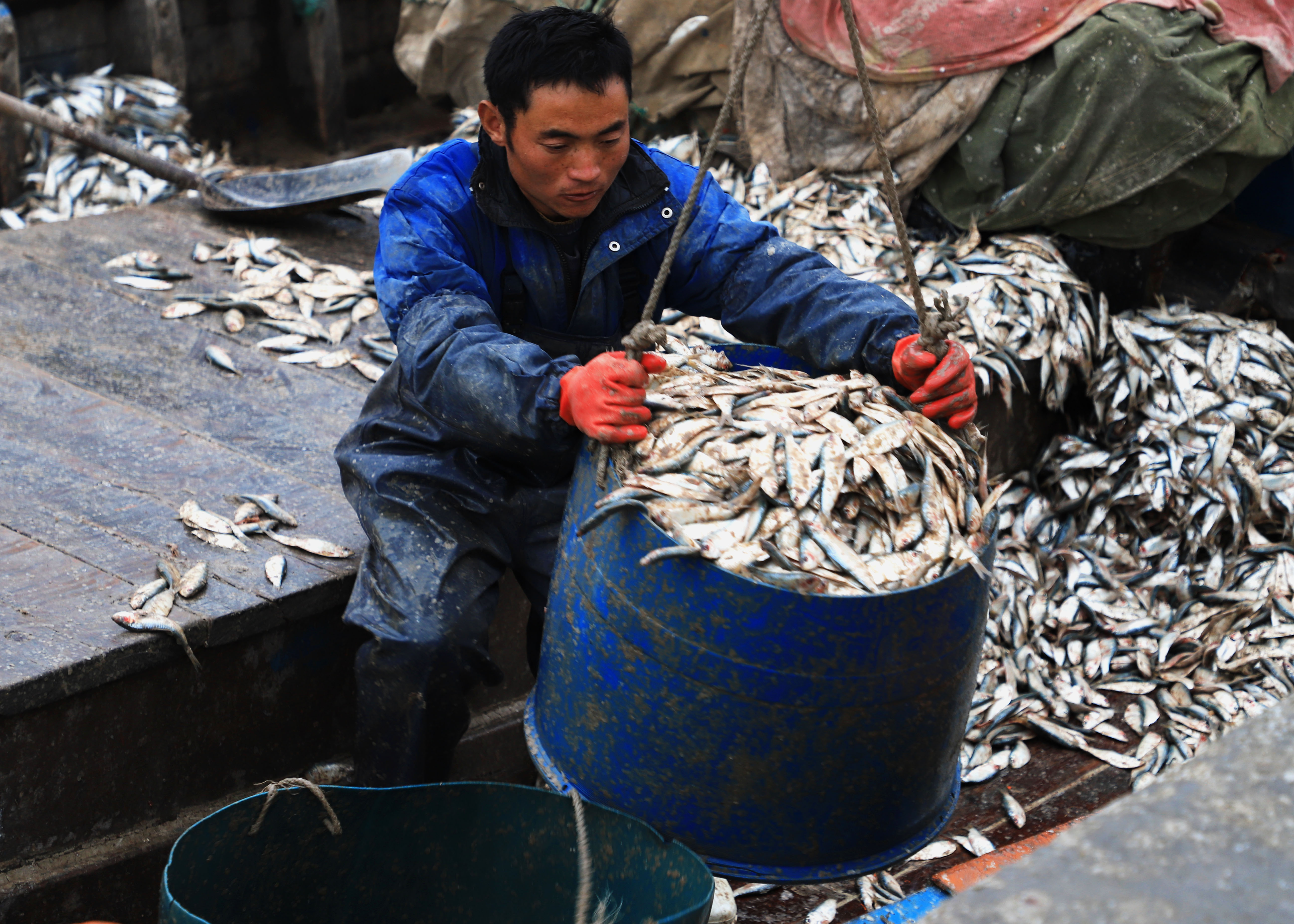 《捕鱼归来》-第四届"大美渔村 平安渔业"中国渔业征稿区-大众摄影网