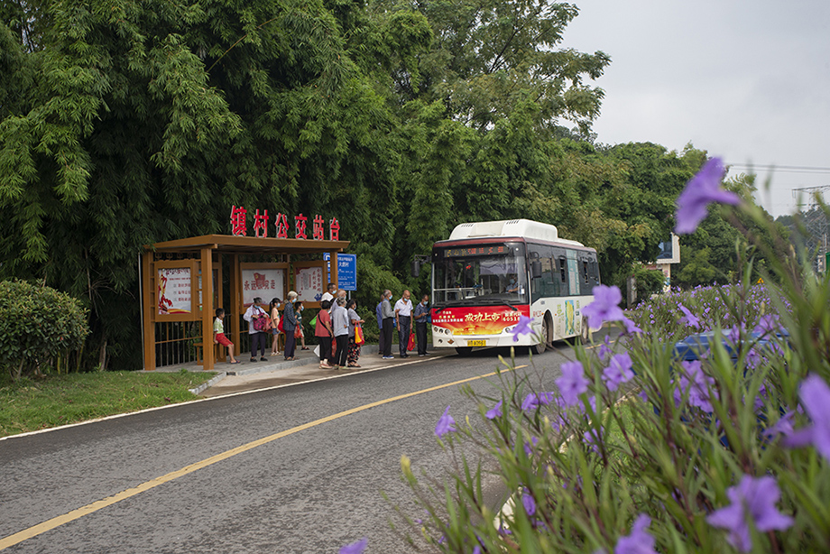 美丽乡村 绿色出行