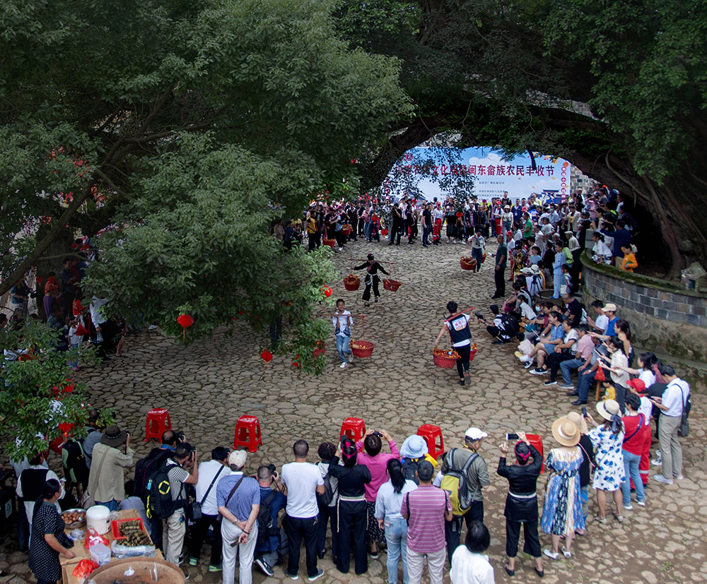 《畲民庆丰收》