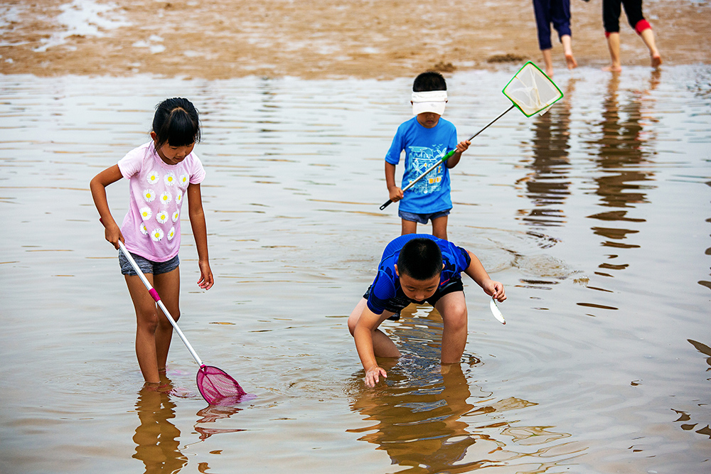 《全民拉网 千米鱼网》