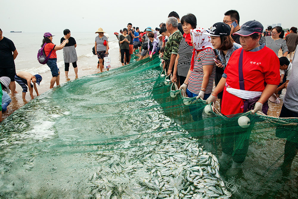 《全民拉网 千米鱼网》