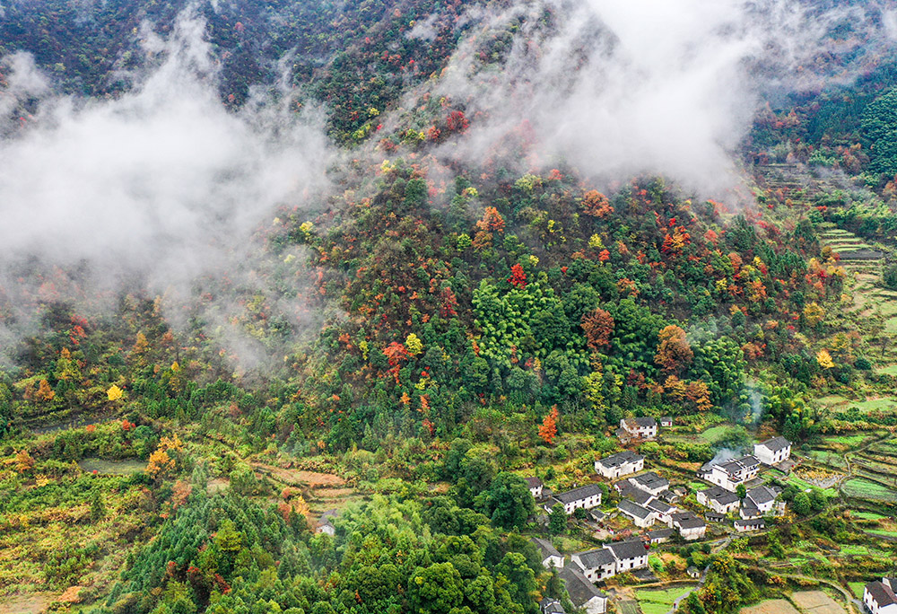 2021年11月21日摄于安徽石台白石岭村