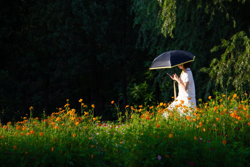 安秀芳-花季少女-"建功新时代-心中的太阳"摄影大展 征稿区-大众摄影