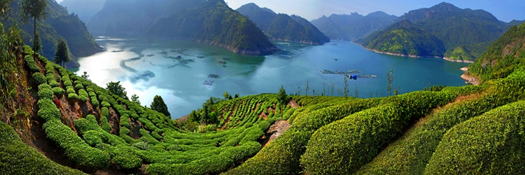 中国好风光福建柘荣:长寿之乡 养生福地