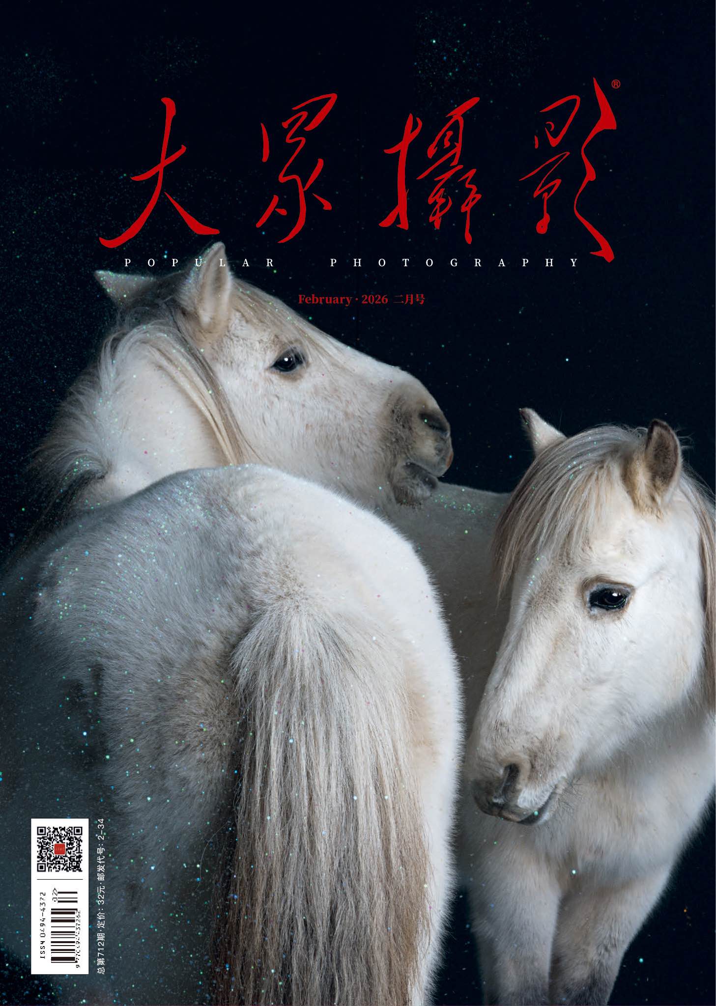 大众摄影2026年第2期