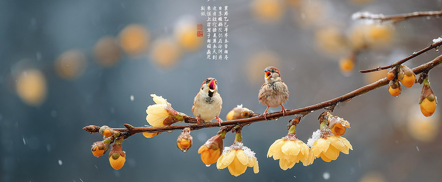 节气·物候·人间：二十四节气摄影主题征稿