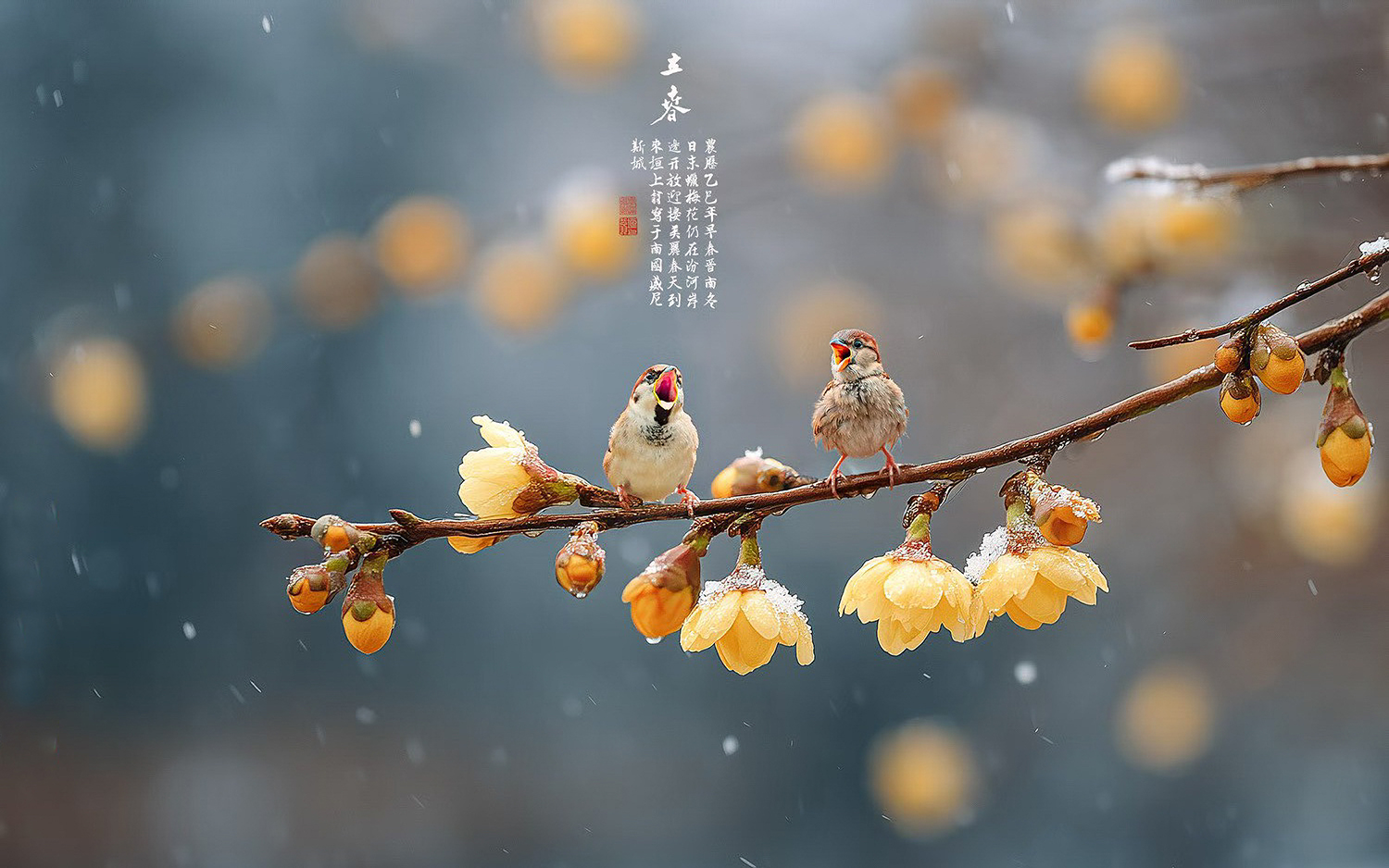 节气·物候·人间：二十四节气摄影主题征稿