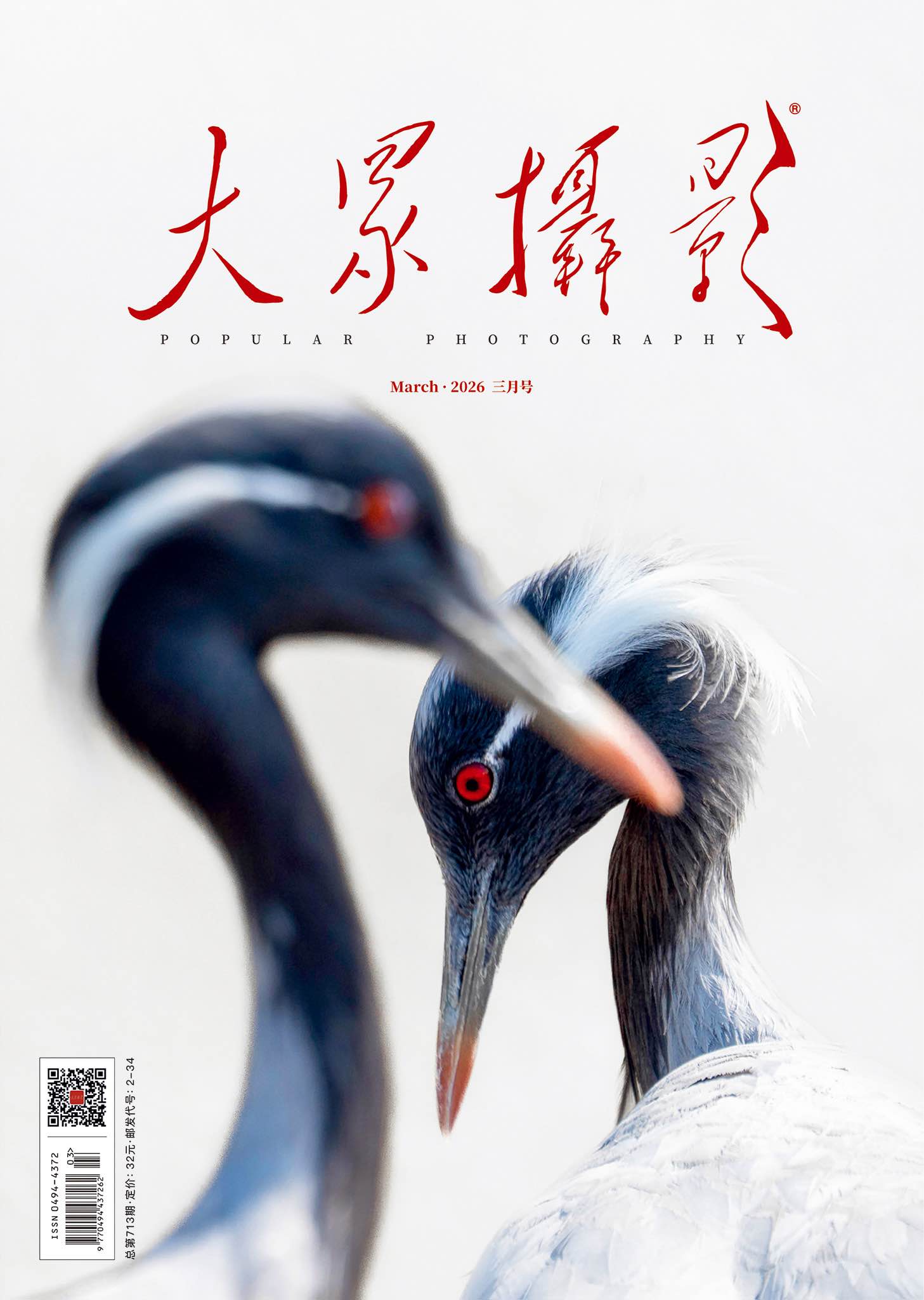 大众摄影2026年第3期