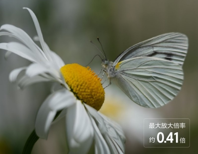 588e172a7616c03e0ccda79218c8cc15.jpg
