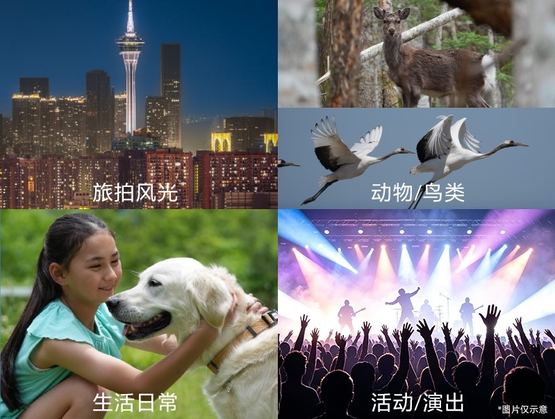 8ab30df98632f0da17d5c8870f17cf88.jpg