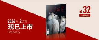 大众摄影2026年第2期