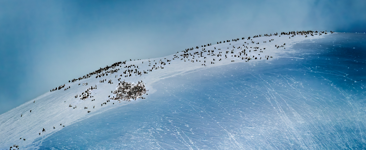双周争胜第24期“家园”拟入展作品公示