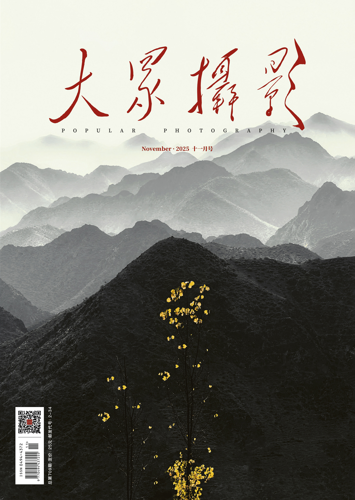 大众摄影2025年第11期